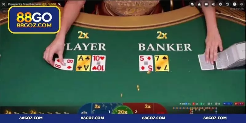 Áp dụng phương pháp cầu bệt và dọc trong Baccarat